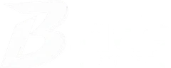 Blade Assessoria